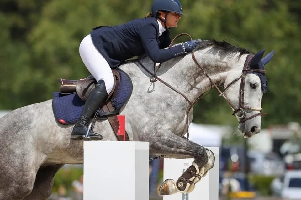 Grey sport horse jumping a white upright in the show jumping ring